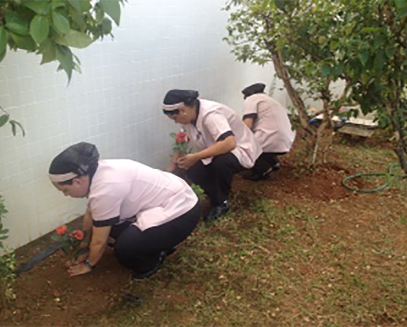 Adagio-e-Mercure-SP-Nortel