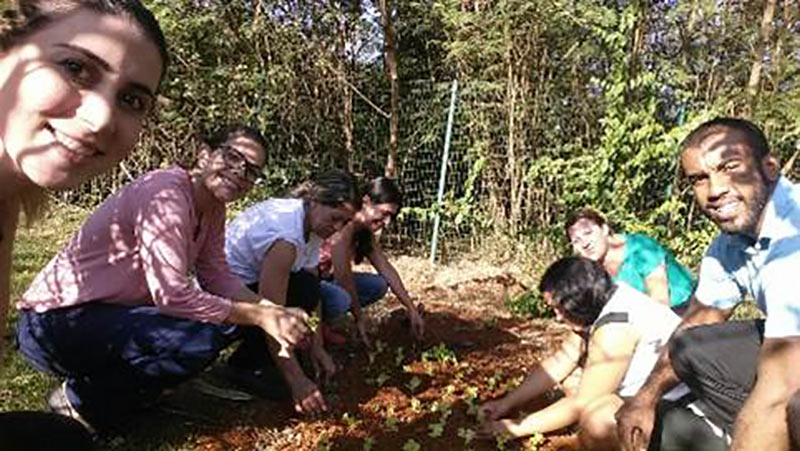 ibis-e-ibis-budget-Piracicaba