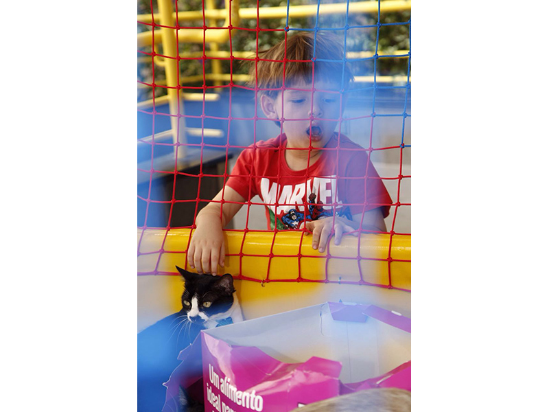 2016-08-28-PHOTO-00000003