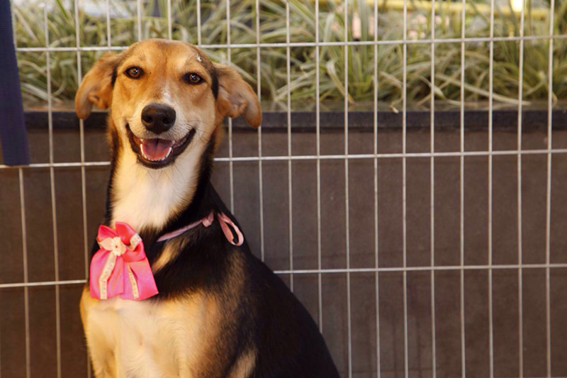 2016-08-28-PHOTO-00000008