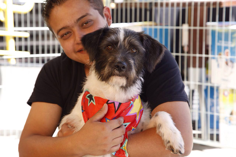 2016-08-28-PHOTO-00000011