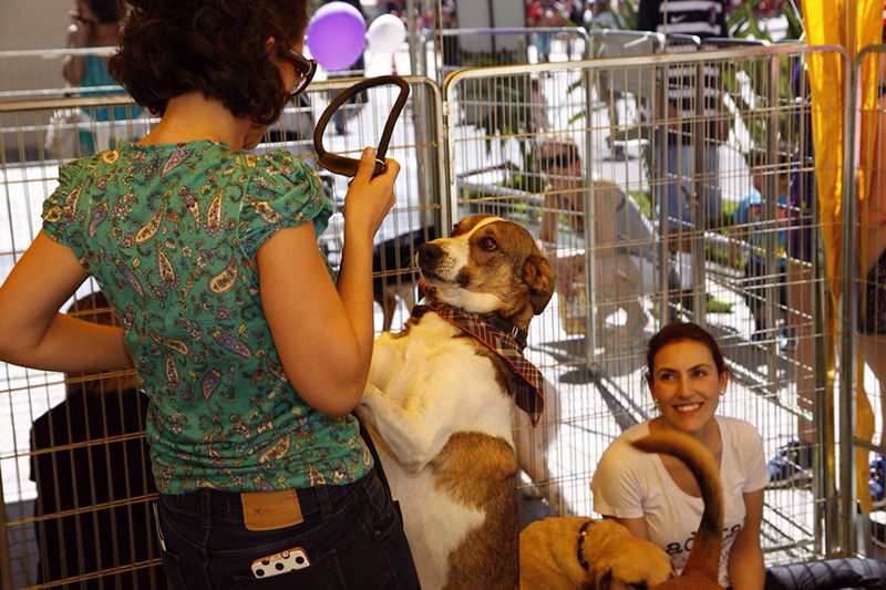 2016-08-28-PHOTO-00000015