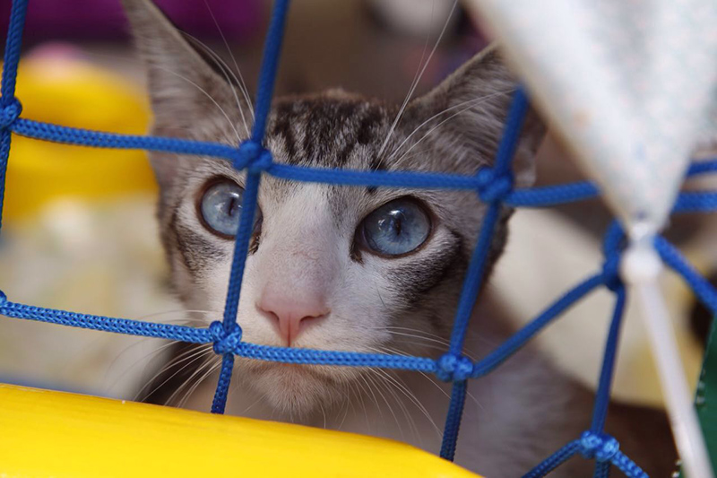 2016-08-28-PHOTO-00000016