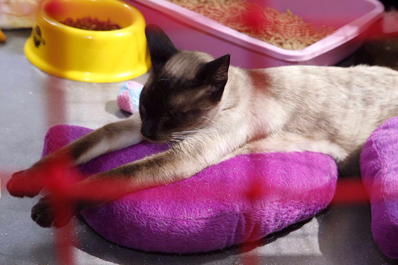 2016-08-28-PHOTO-00000017