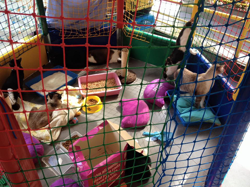 Virada-Sustentavel-2