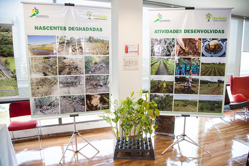 Edu-Leporo-Fotografia-8