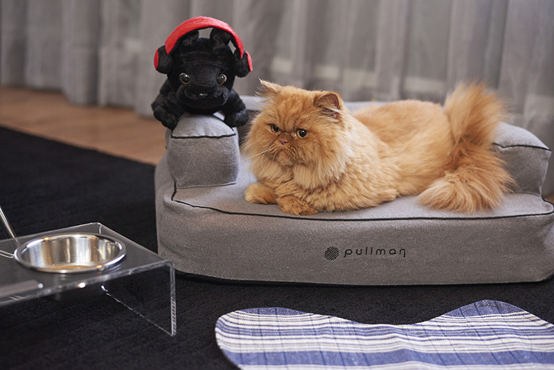 20180529_accor_pullman_ibi_pets_backup_0375